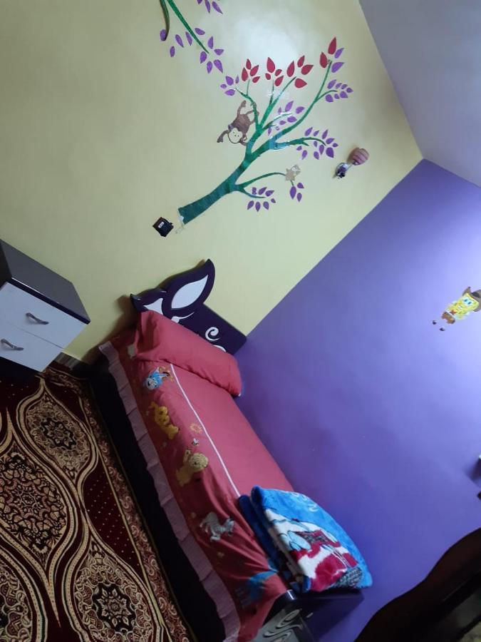 Freedom Nubian Guest House Асуан Екстериор снимка